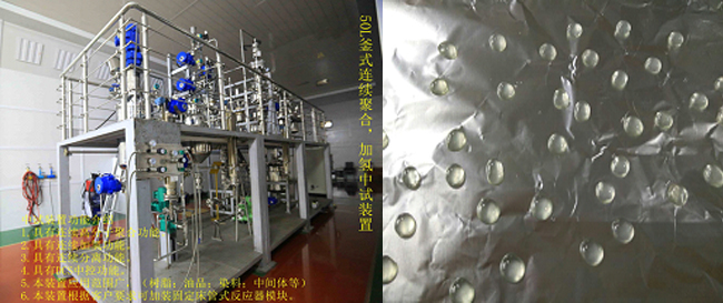 祝賀國(guó)內(nèi)首套釜式連續(xù)加氫中試成套裝置一次出料成功！.jpg